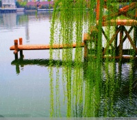 真正的高情商，是跳出自己的位置