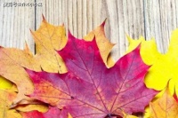 越“命好”的女人，往往越“不争”