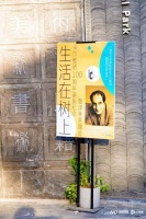 “感受一种别样的轻盈”！听业内大咖讲述他们心中的卡尔维诺