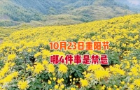 10月23日重阳节，老话“重阳到，四不做”，指哪4件事？早做准备