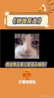 大妈咱好好的坐着不行吗，你说你惹他干嘛呀！