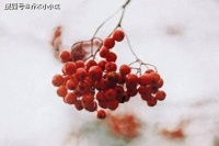 一个人人品不好，交往时会表现出来