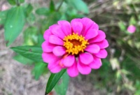 人到中年的夫妻，感情好也要留个心眼，不是算计