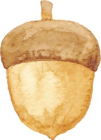 新书推荐丨《周易详说》