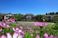 乐至彩绘(组诗)​