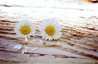 女人找伴侣时，千万别选这样的男人，否则会吃大苦头