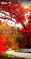 跟着《长安三万里》，打开“秋之彩色吉林”