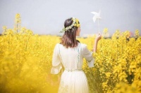 成年人最高级的智慧：拒绝假自律