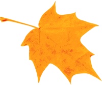 新书推荐丨《礼乐文化与中国文论早期形态研究》