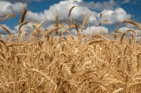 品读｜你的手一搭，我就知道是有人帮忙了