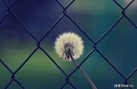 父母和子女的缘分，开始变淡时，会出现两个“信号”