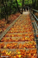 重阳节：杜牧登高，写下一首重阳诗，被誉为“小杜七律中第一”