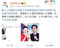 章子怡这是离了第几次了？