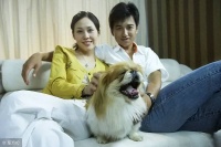 男子丁克，父亲将800万房产等赠女儿！儿子暴跳如雷，网友人间清醒