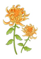 霜降·露结为霜冬将至 人间至此秋色尽｜万物有时·物候志