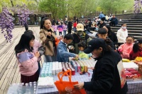 顺义杨镇开展“读万卷书 行万里路”主题活动