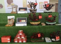 湖滨区磁钟乡：灵芝变“盆景” 朵朵好“钱景”