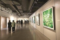 浙江省油画院落成暨“湘湖初照”浙江省油画院开院展举行