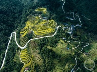 “秋韵”（246） | 上游主题摄影征稿作品展——马培钧作品