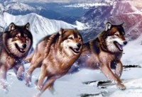 今日霜降，又到暮秋——读懂我们的节气文化