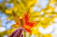 真正厉害的人，都很会发脾气