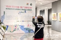 一展尽览长三角农民画 上海长宁擦亮“西郊农民画”非遗名片