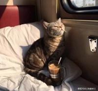 能在困难里看见机会，在莽莽荒野里看到价值和希望