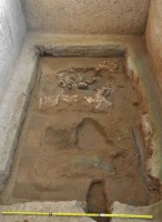 罕见发现！秦始皇帝陵陵西墓葬发现罕见羊车