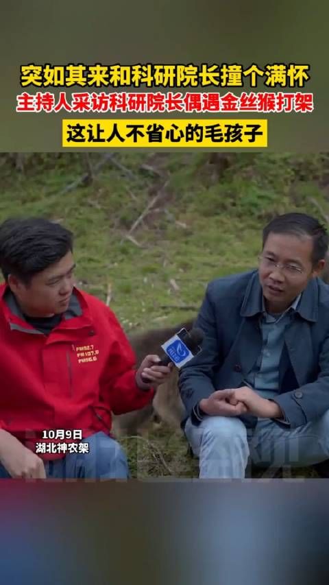 金丝猴:来!有本事在院长大人面前打死我!