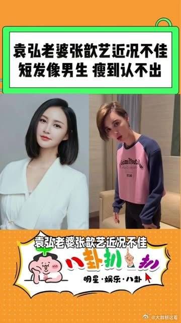 袁弘老婆张歆艺近况不佳