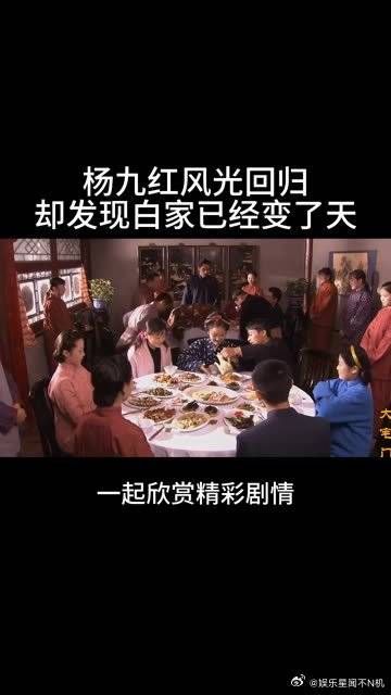 杨九红风光回归，却发现白家已经变了天