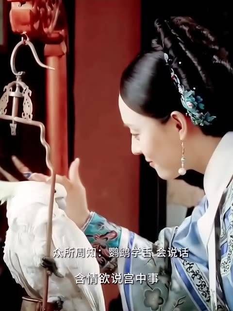 细思极恐，嬛嬛的鹦鹉从未说过话，嬛嬛也从不避讳鹦鹉学舌……