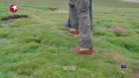 刘涛这样也太招人喜欢了，一直以为她是女强人……