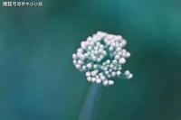越是感觉人生不顺，越要主动远离三种人