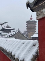 洹畔文艺｜一场雪后的水墨……