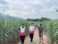桂林银行：制定特色金融服务 共筑民族团结“同心圆”