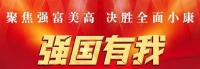 轮椅上的光影传奇：缙云籍摄影师的追梦之旅