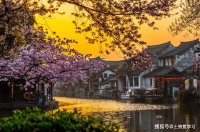 我们自己只在乎自己真实的感受