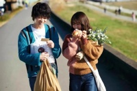 北上广不相信“花束般的恋爱”