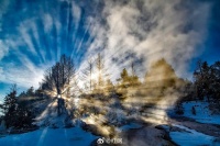 冬天轻松地让万物轮廓分明，重新撒种。——安妮·迪德拉