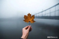 女人过得幸不幸福，一看便知，眼神骗不了人