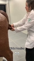 原来这就是扯犊子啊！