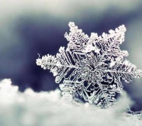 二十四节气童话之小雪篇 彩色的雪花