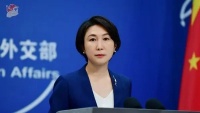 他宣称已逃往英国，外交部发声
