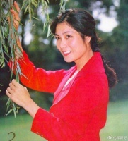 她曾与刘晓庆齐名，35岁息影嫁给美国律师，如今68岁怎样了？