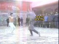 1984年李连杰与高手比武影像：武艺全程碾压对方……