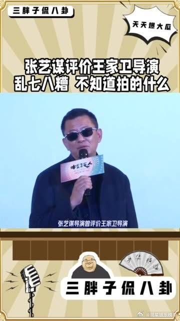 张艺谋平价王家卫导演乱七八糟