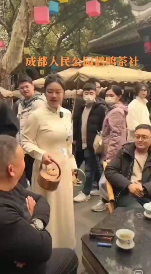 胡歌家有七只猫,刘涛害怕见了跑……
