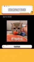 请问仅接吻是什么关系？离谱的是女友还原谅了