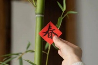 夜读 |祝福你！愿所有期盼，如约而至